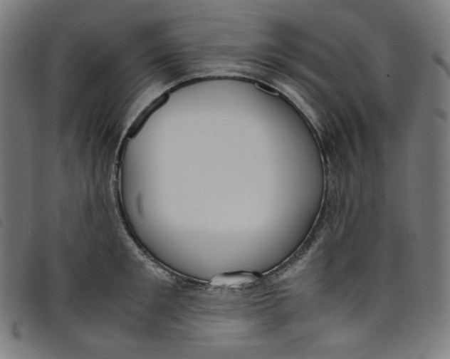 X0000098120901200804251449