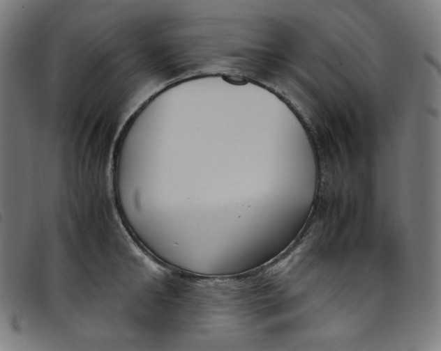 X0000098120902200804251449