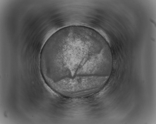 X0000098120903200804251449