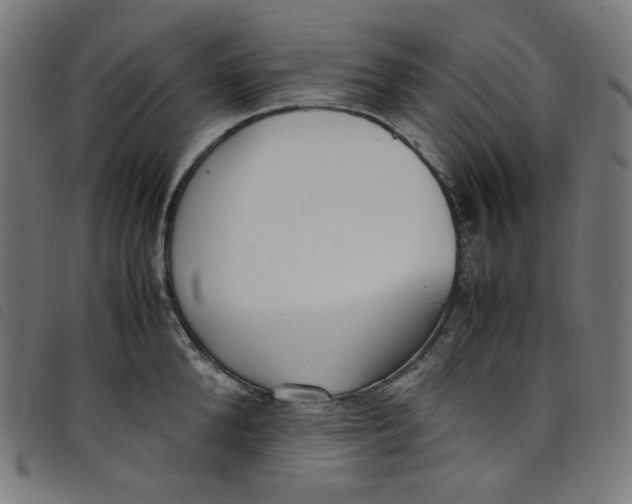 X0000098120904200804251449