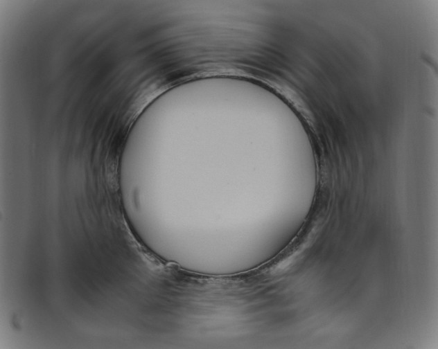 X0000098120905200804251449