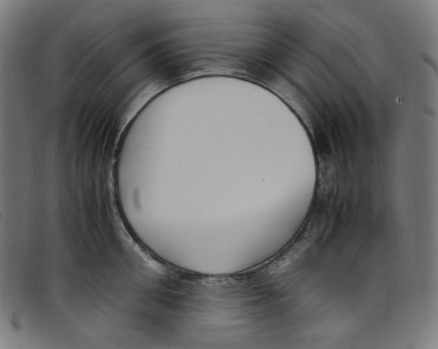 X0000098120906200804251449
