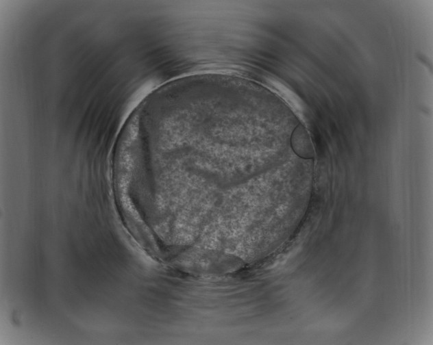 X0000098120907200804251449
