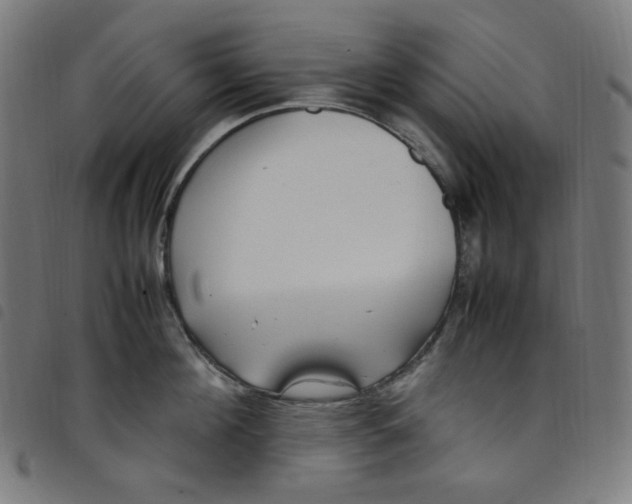 X0000098120908200804251449