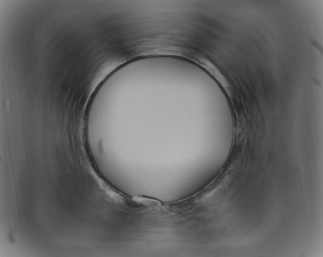 X0000098120909200804251449
