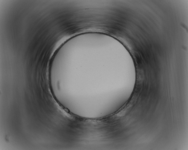 X0000098120910200804251449