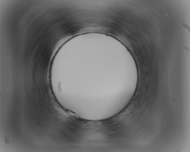 X0000098120912200804251449