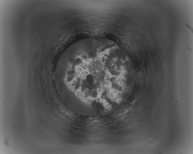 X0000098120913200804251448