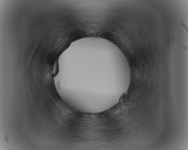 X0000098120914200804251448