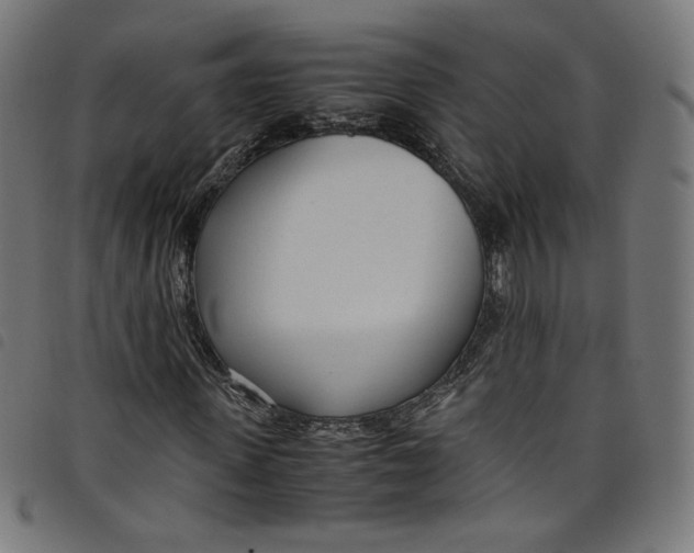 X0000098120915200804251448
