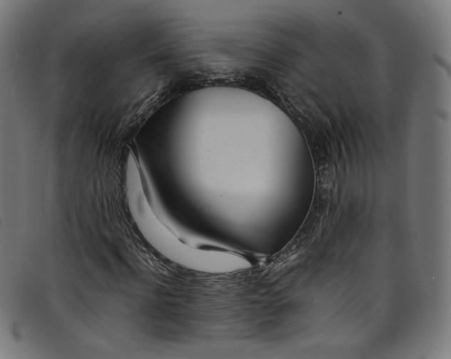 X0000098120916200804251448
