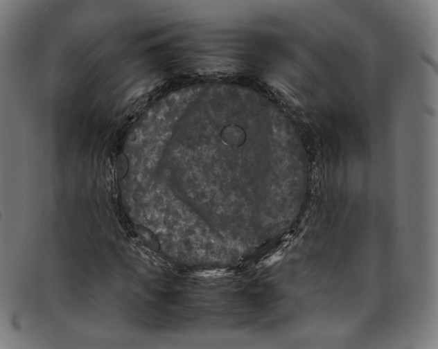 X0000098120917200804251448