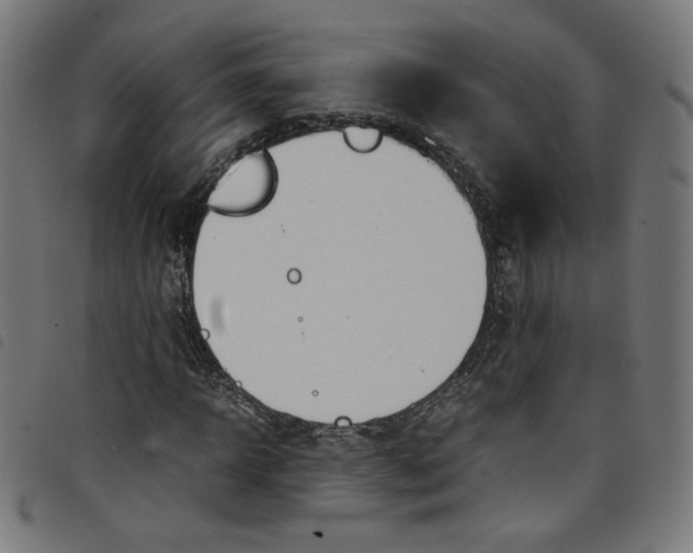 X0000098120918200804251448