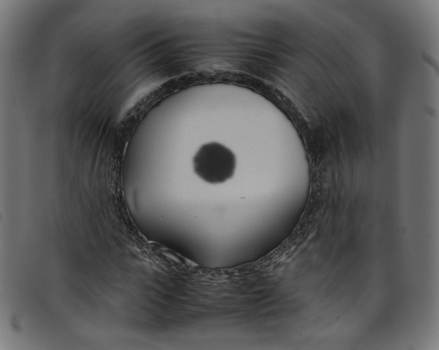 X0000098120919200804251448
