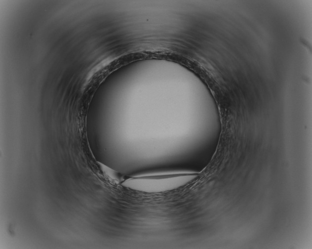 X0000098120920200804251448