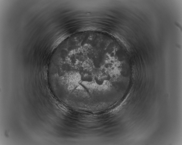 X0000098120921200804251448