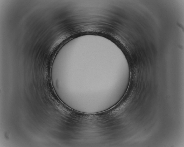 X0000098120922200804251448