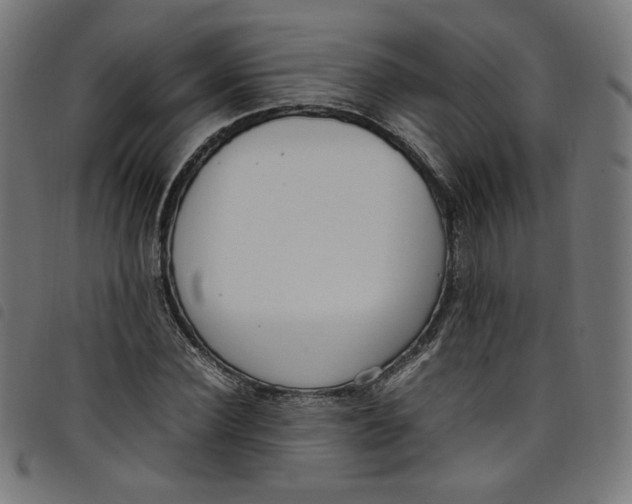 X0000098120924200804251448