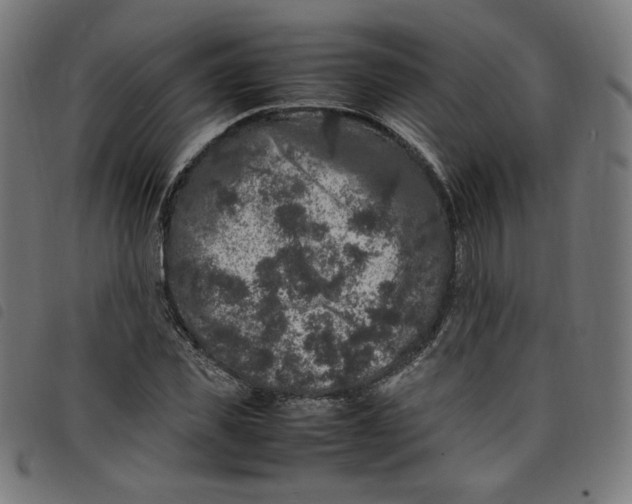 X0000098120925200804251448