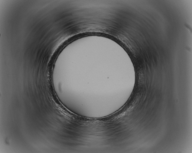 X0000098120926200804251448