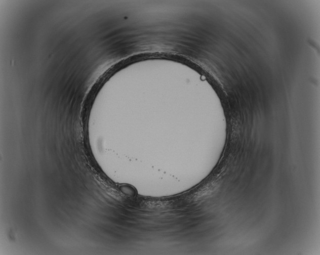 X0000098120927200804251448