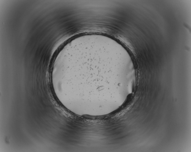 X0000098120928200804251448