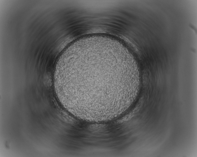 X0000098120929200804251448
