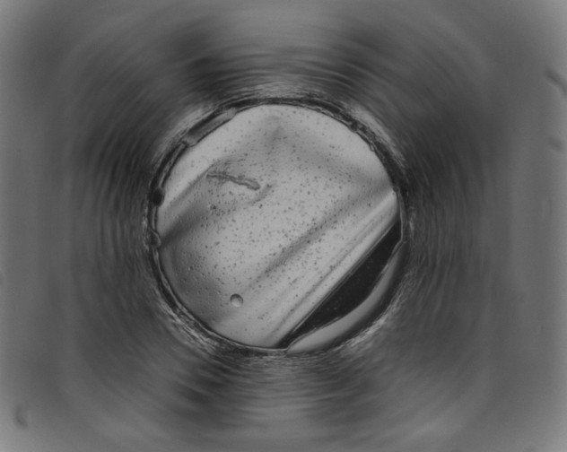 X0000098120930200804251448