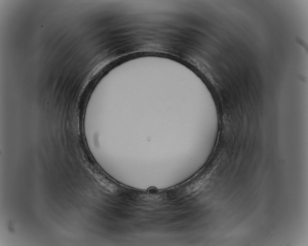X0000098120931200804251448