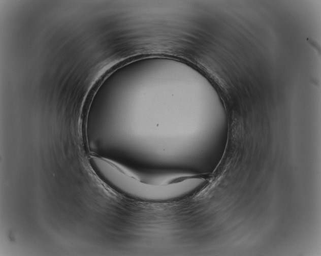 X0000098120932200804251448