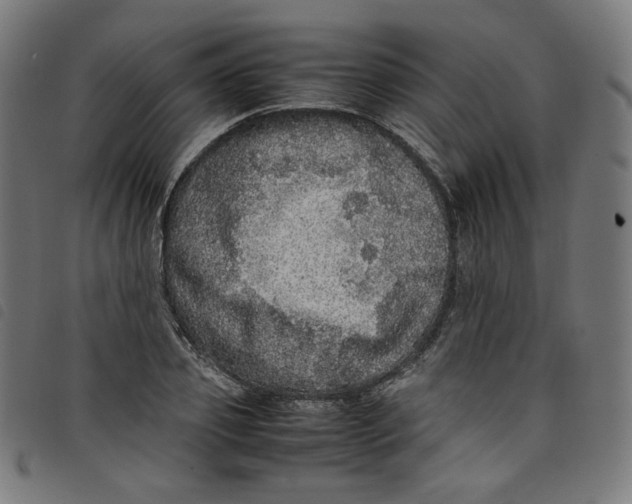 X0000098120933200804251448