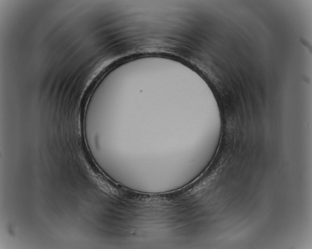 X0000098120934200804251448