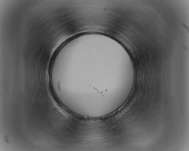 X0000098120936200804251449
