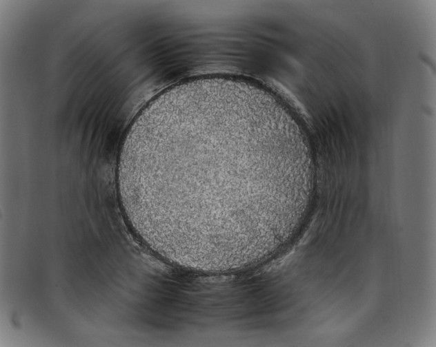 X0000098120937200804251449