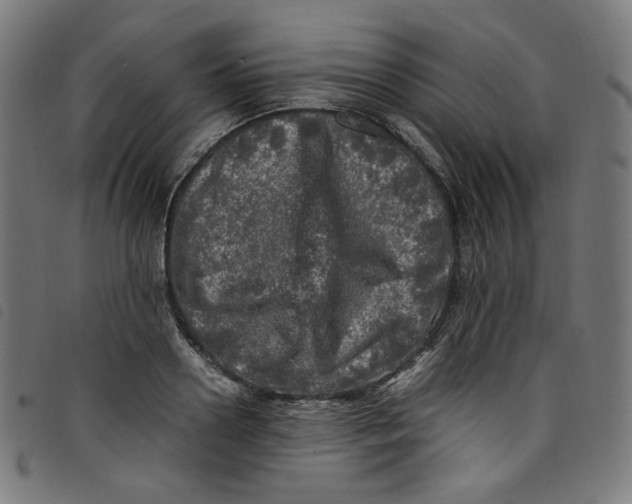 X0000098120938200804251449
