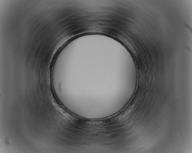 X0000098120939200804251449