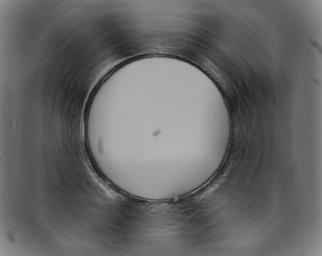 X0000098120940200804251449