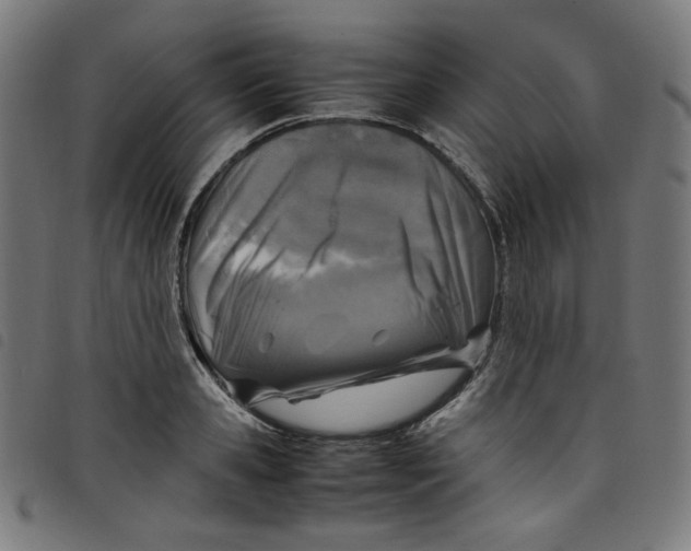 X0000098120941200804251449
