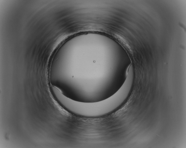 X0000098120942200804251449