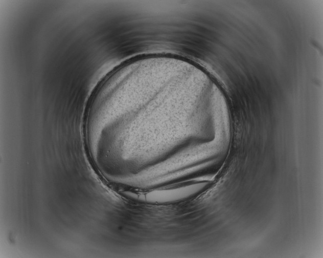 X0000098120943200804251449