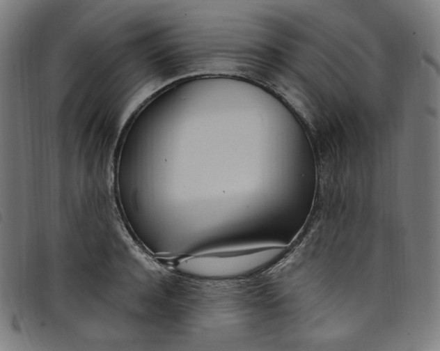 X0000098120944200804251449