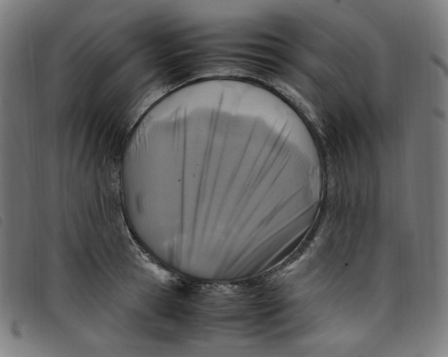 X0000098120945200804251449