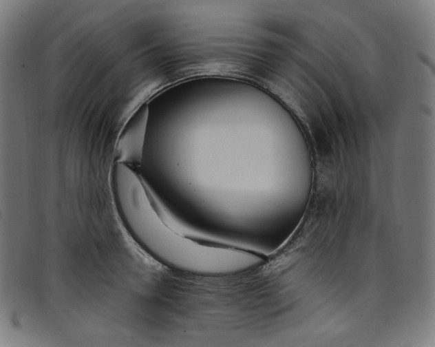 X0000098120946200804251449