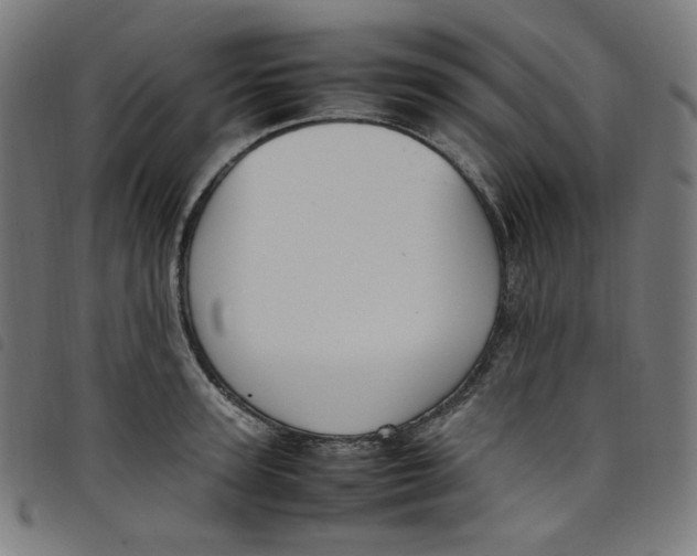X0000098120947200804251449