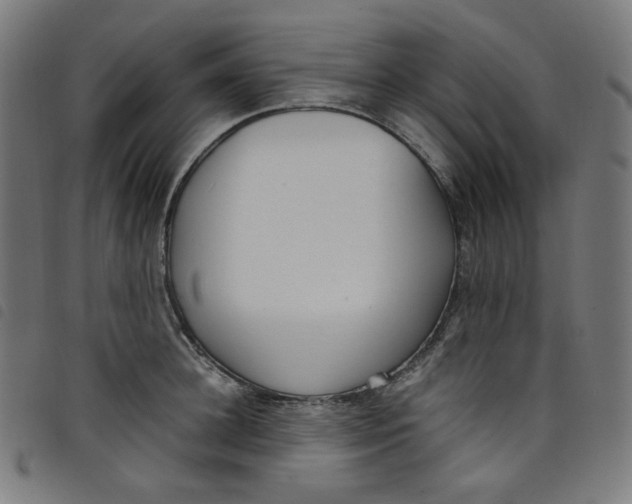 X0000098120948200804251449