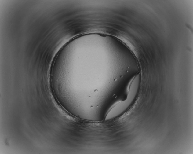 X0000098120949200804251449