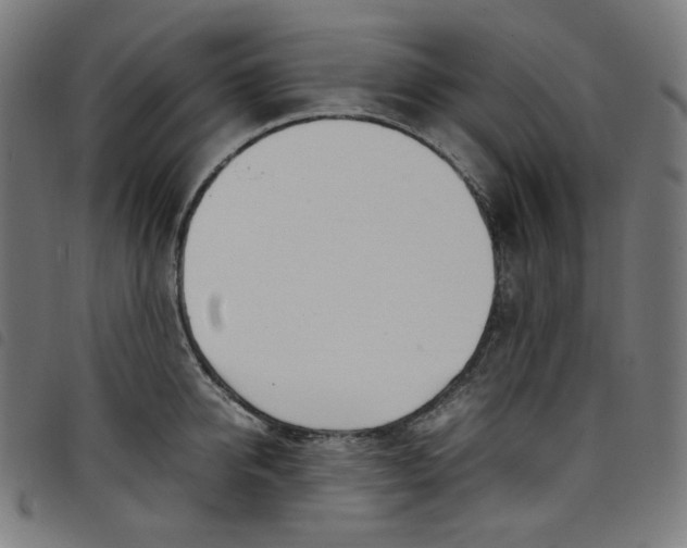 X0000098120950200804251449
