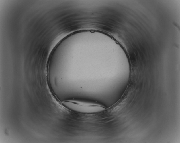 X0000098120951200804251449