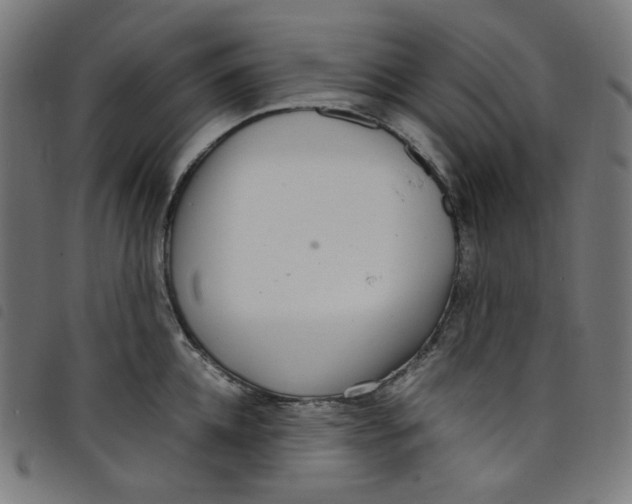 X0000098120952200804251449