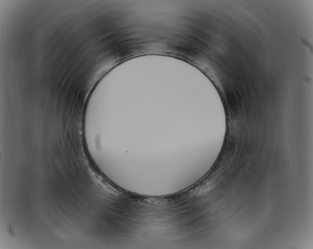 X0000098120954200804251449